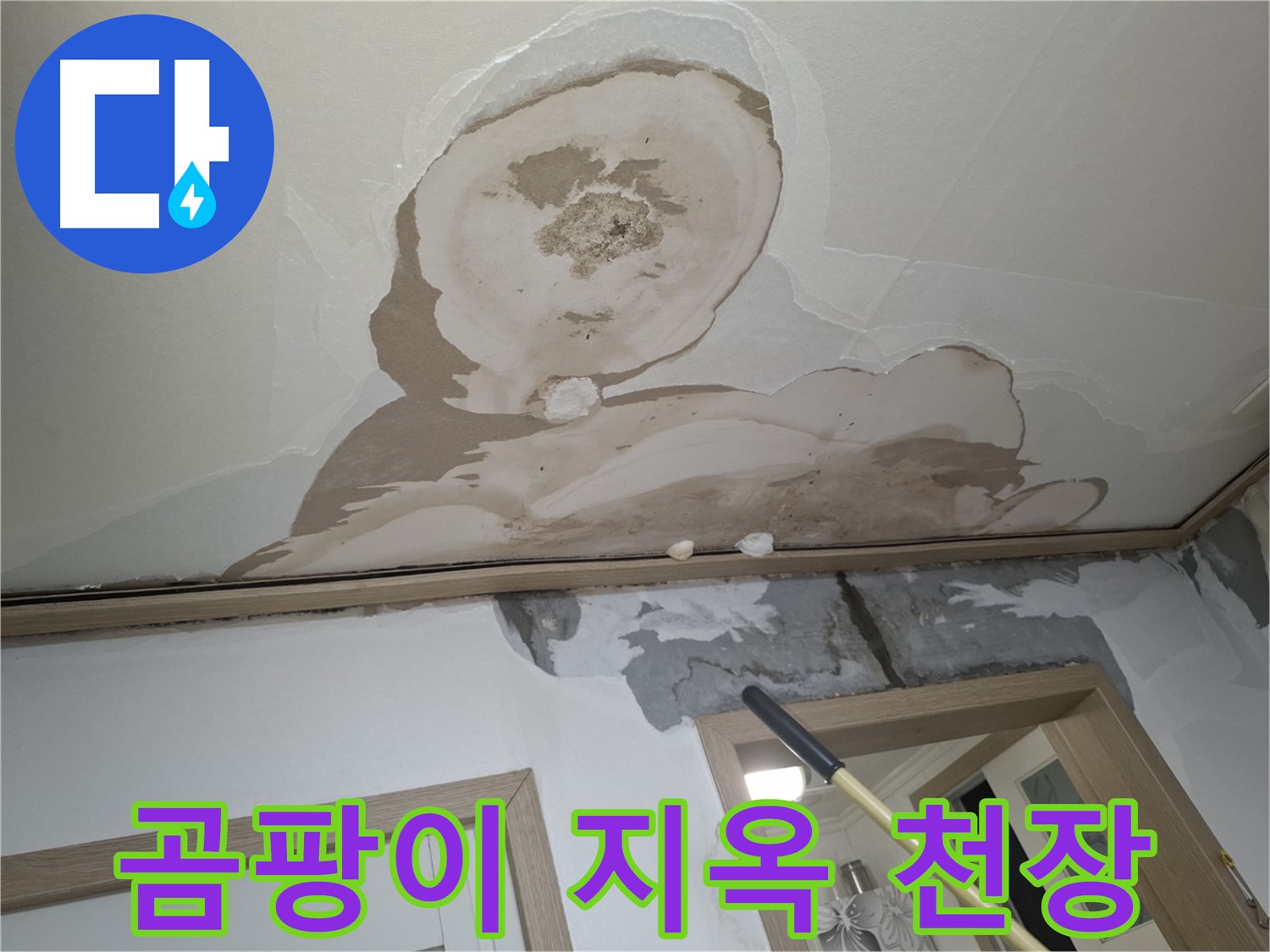 곰팡이 지옥 - 악취와 붕괴 위험, 긴급 탈출하세요!