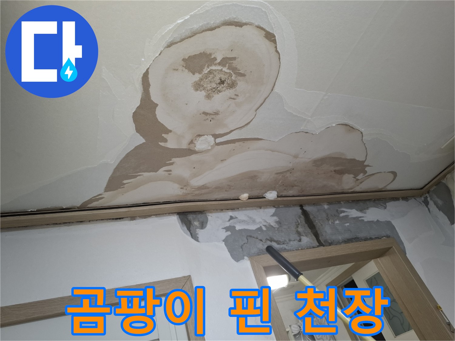 곰팡이 핀 천장 - 쾌적한 보금자리, 확실하게 책임!
