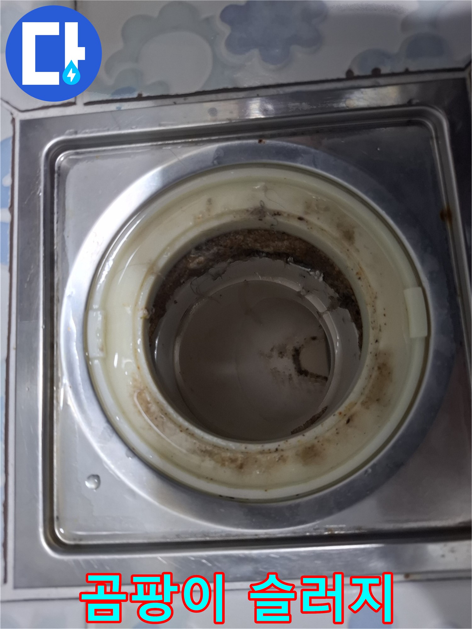 곰팡이와 슬러지로 꽉 막힌 배수구
