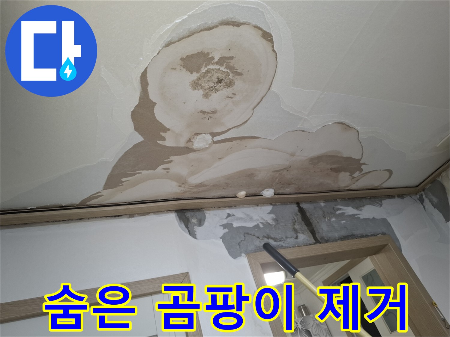 석고보드 속 숨은 곰팡이 - 완벽 제거 및 재발 방지!