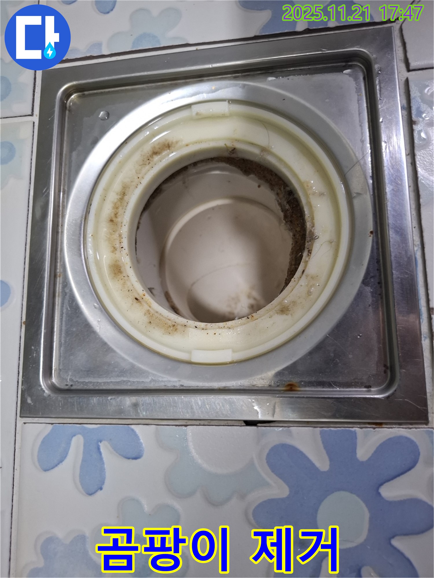 신림 누수 - 배수구 곰팡이 제거 후 깨끗해진 배수구, 누수 해결 완료