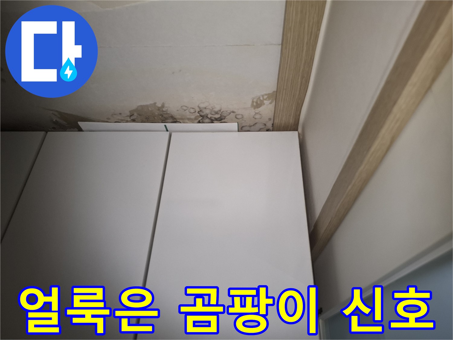 싱크대 위 천장에 생긴 얼룩 - 곰팡이 발생의 전조 증상일 수 있습니다.