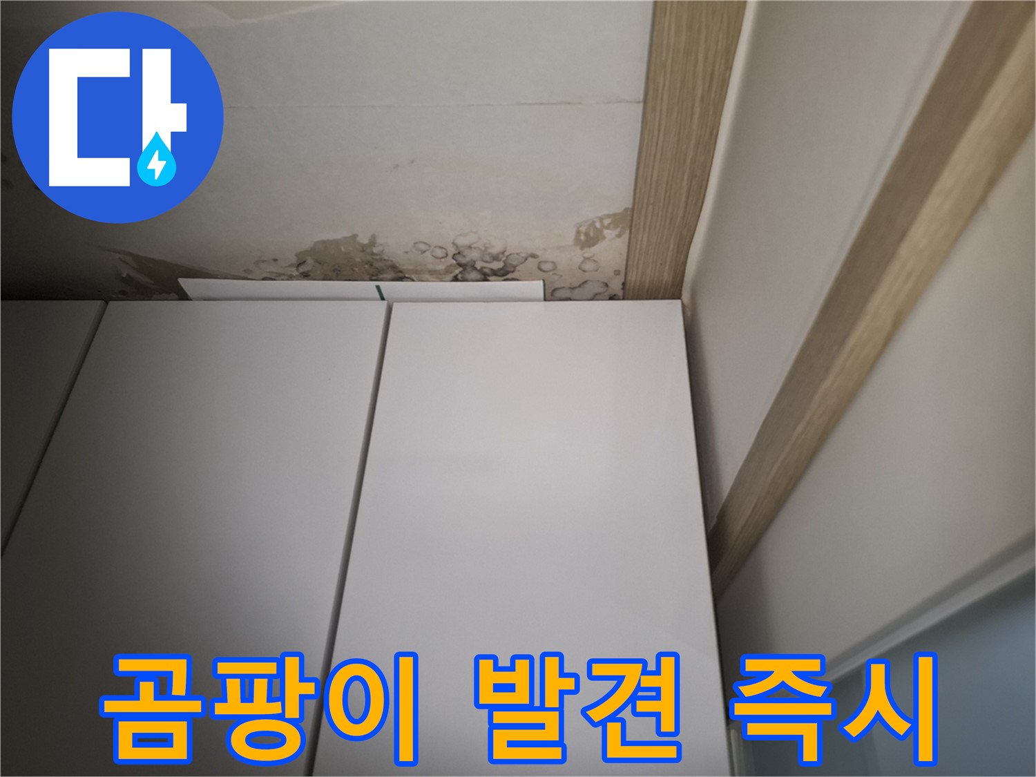 싱크대 위 천장에서 곰팡이가 발견된 모습 - 누수를 의심해야 합니다.