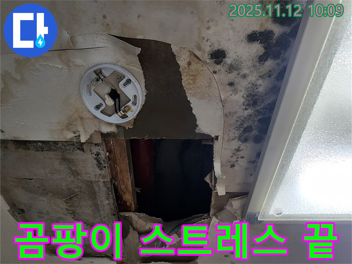 고객 만족 후기 - 곰팡이 천장 누수 완벽 해결 후 고객 감동