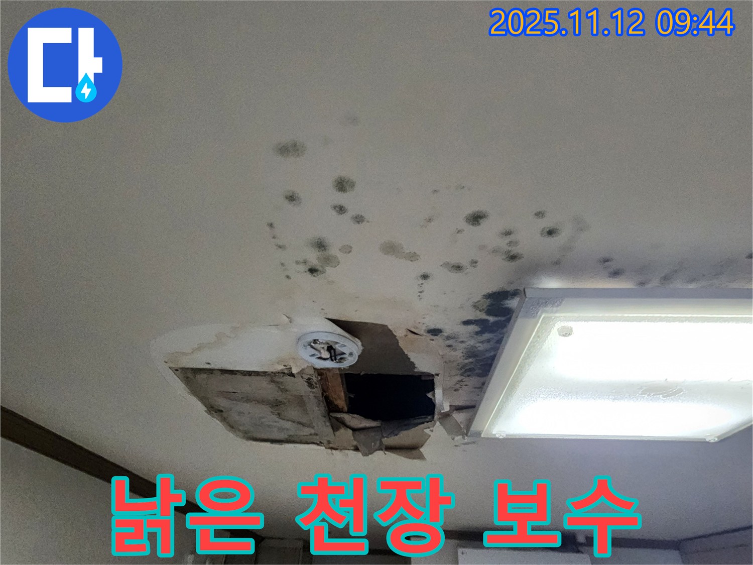 곰팡이 - 낡은 천장 - 안전 진단 - 완벽 보수 시공 약속
