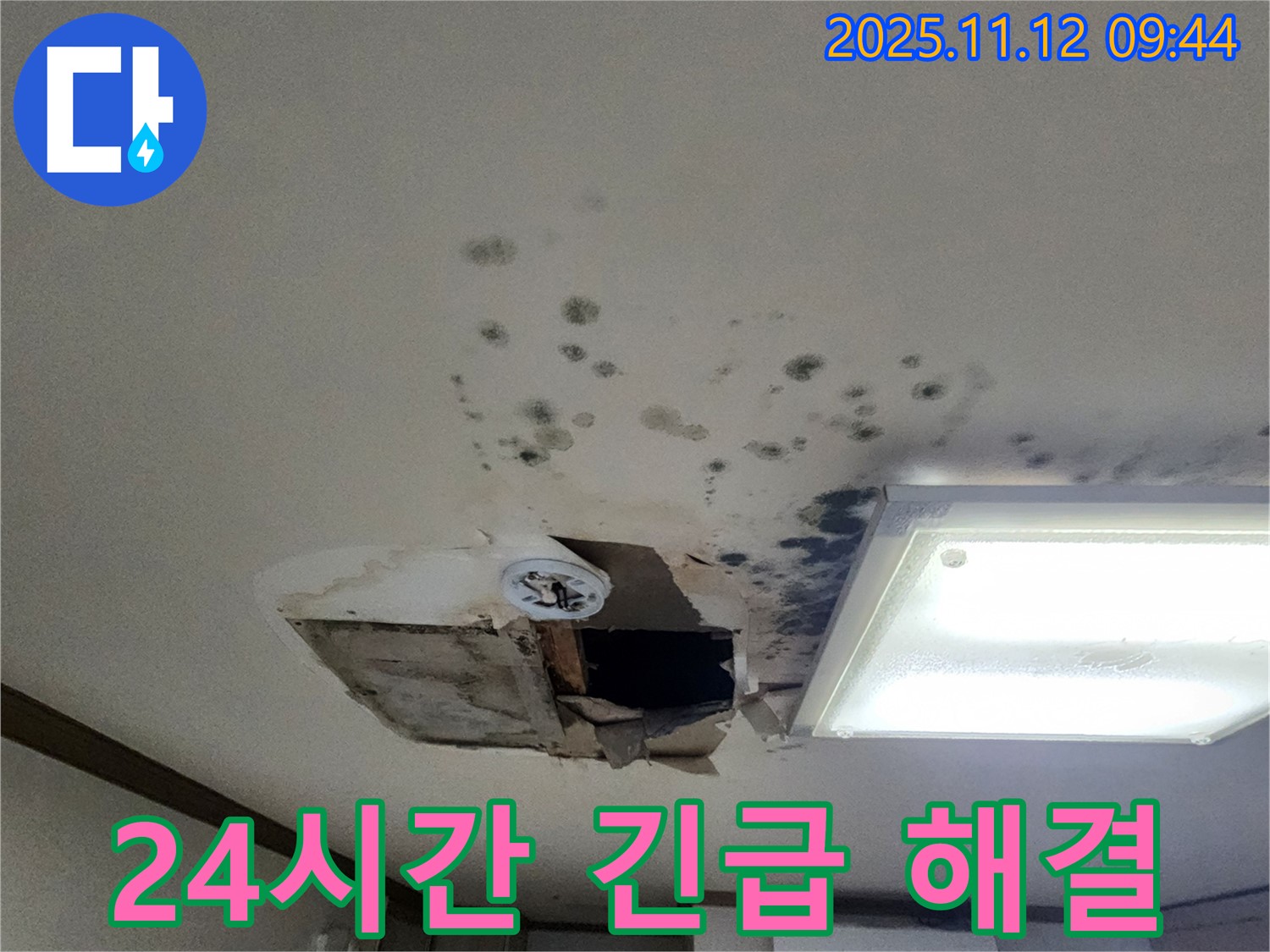 곰팡이 - 석고보드 - 천장 처짐 - 24시간 긴급 해결