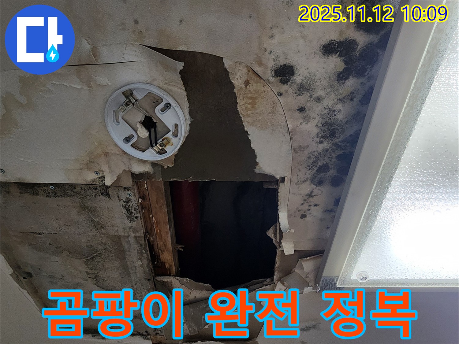 곰팡이 제거 시공 - 친환경 약품으로 곰팡이 완벽 제거 및 방지