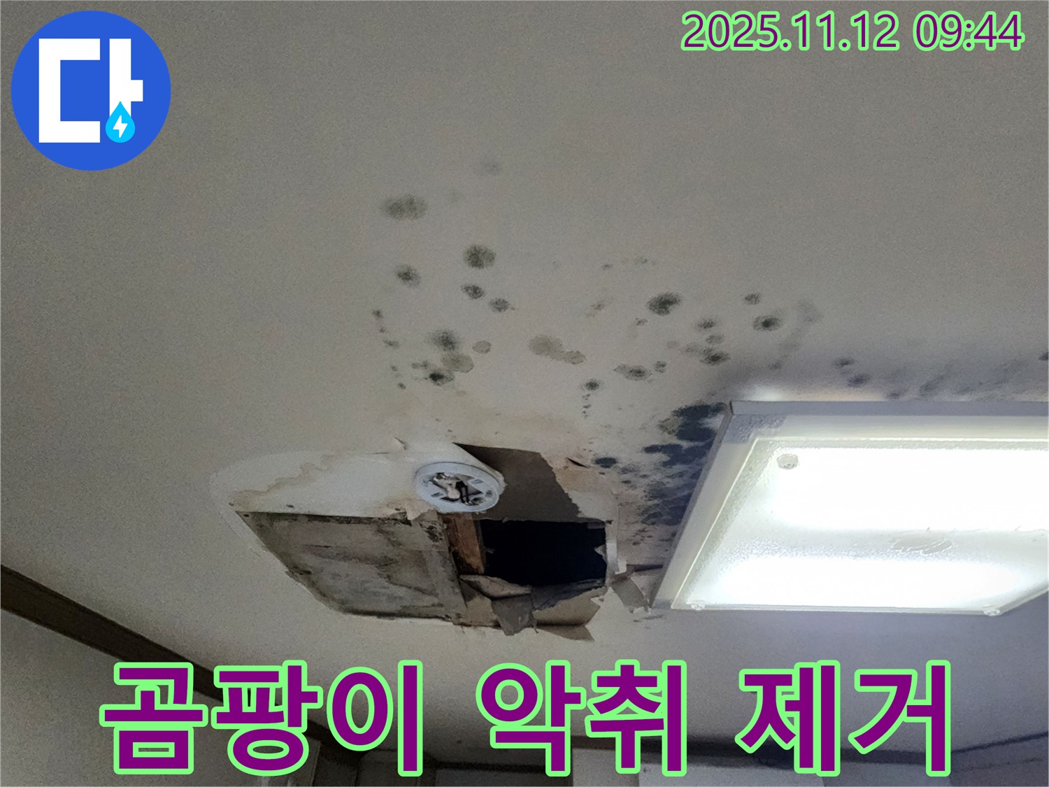 곰팡이 제거 - 악취 제거 - 쾌적 환경 - 건강 개선 효과