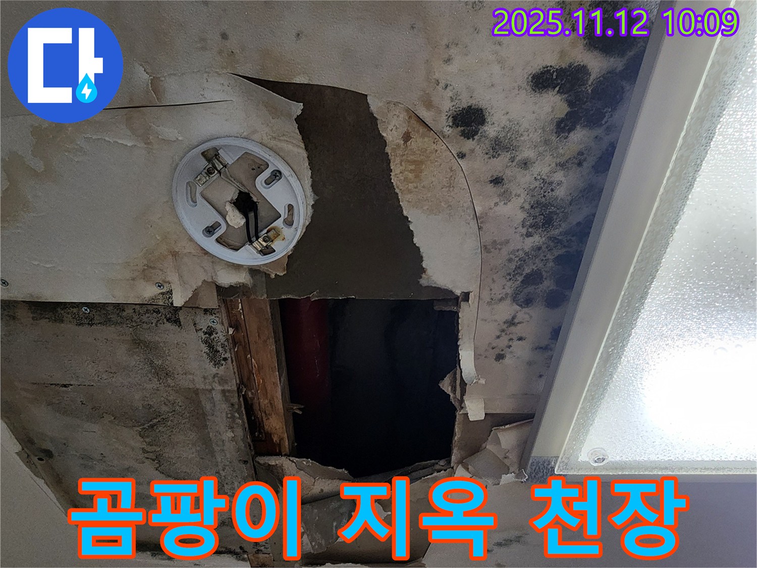곰팡이로 뒤덮인 천장 - 곰팡이 문제의 심각성을 극명하게 보여주는 이미지