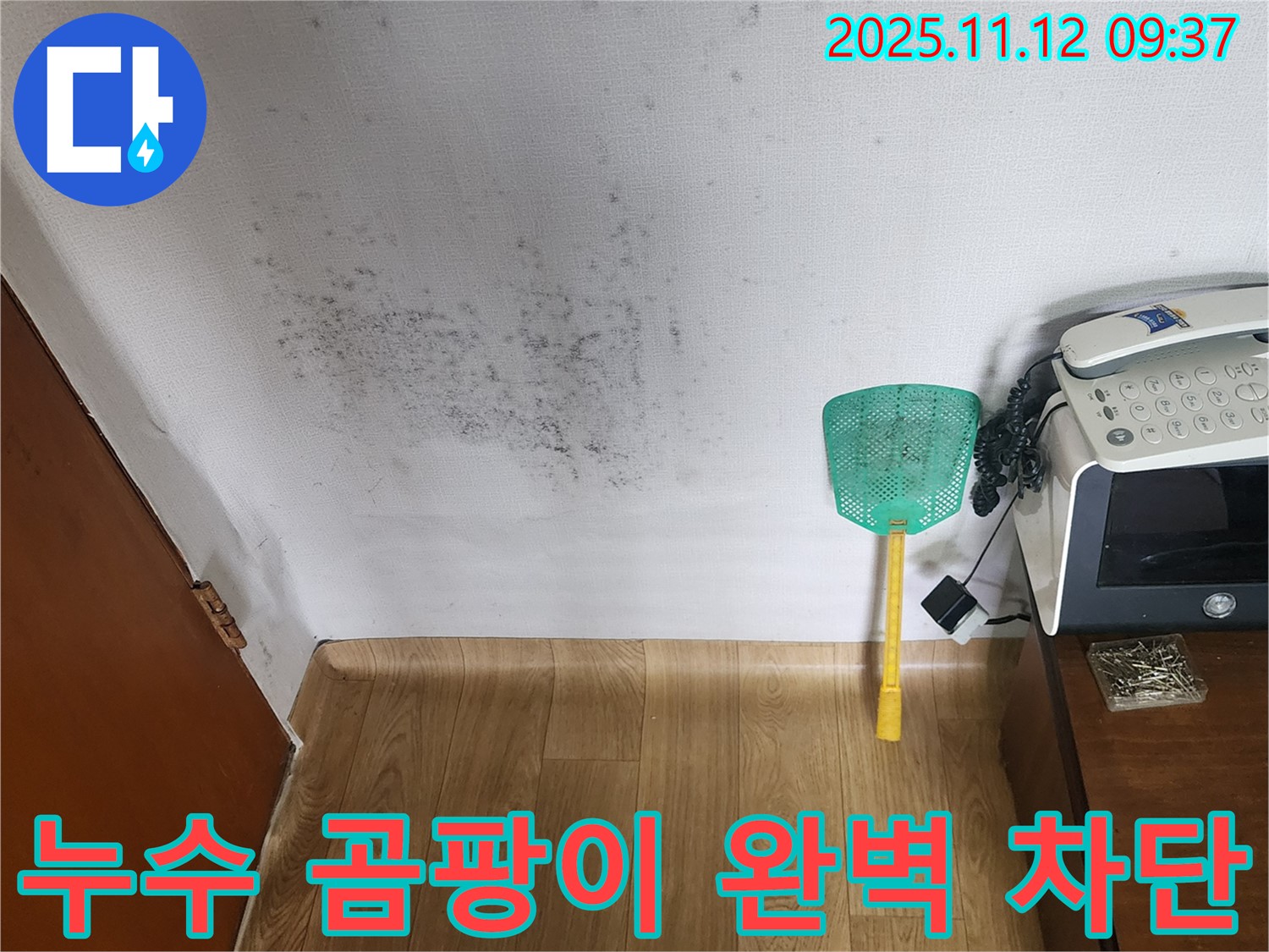 누수와 곰팡이 문제 해결 - 전문 장비를 이용한 누수탐지와 꼼꼼한 곰팡이 제거로 완벽하게 해결된 현장입니다.