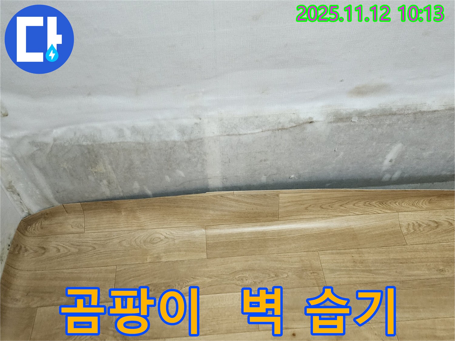 무봉리 누수 현장 - 곰팡이 냄새와 함께 벽 하단 습기는 누수 의심 신호입니다 - 전문가에게 문의하세요.