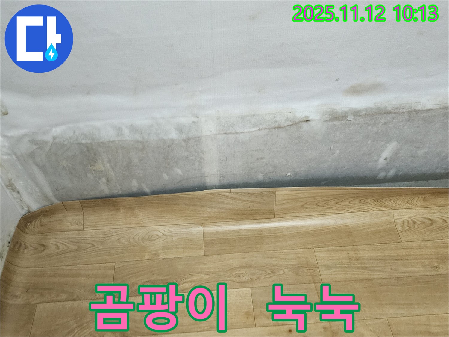 무봉리 누수 현장 - 곰팡이와 함께 눅눅해진 장판 - 누수 해결의 시작입니다.