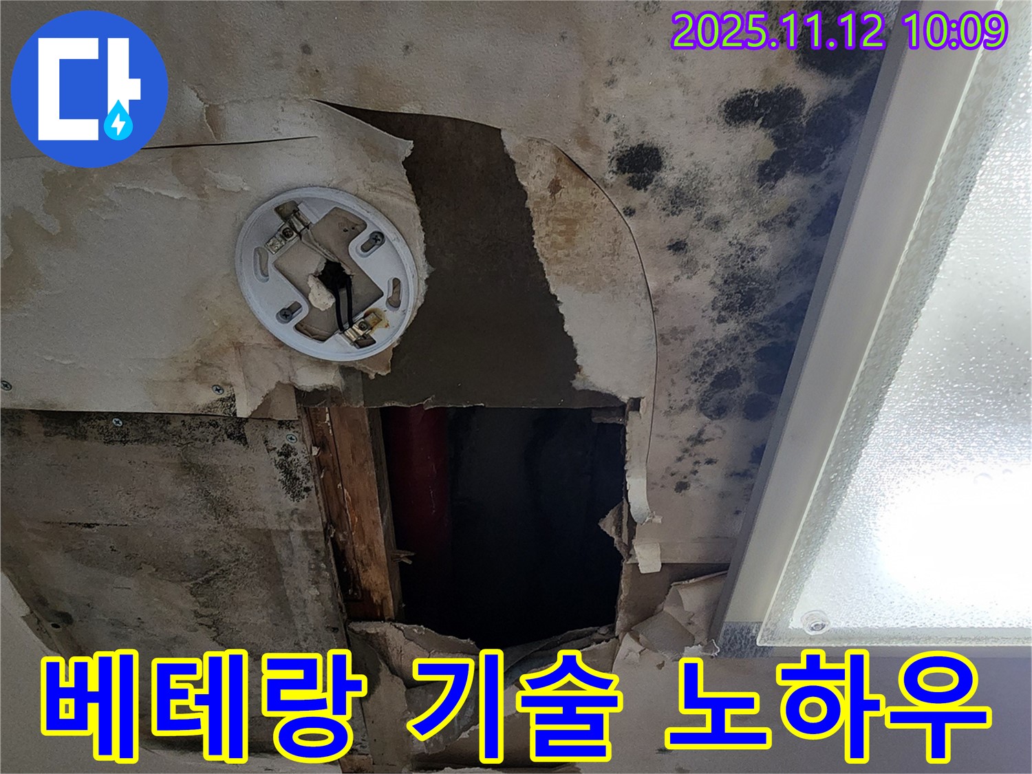 베테랑 기술 노하우 - 곰팡이 천장 누수 완벽 해결