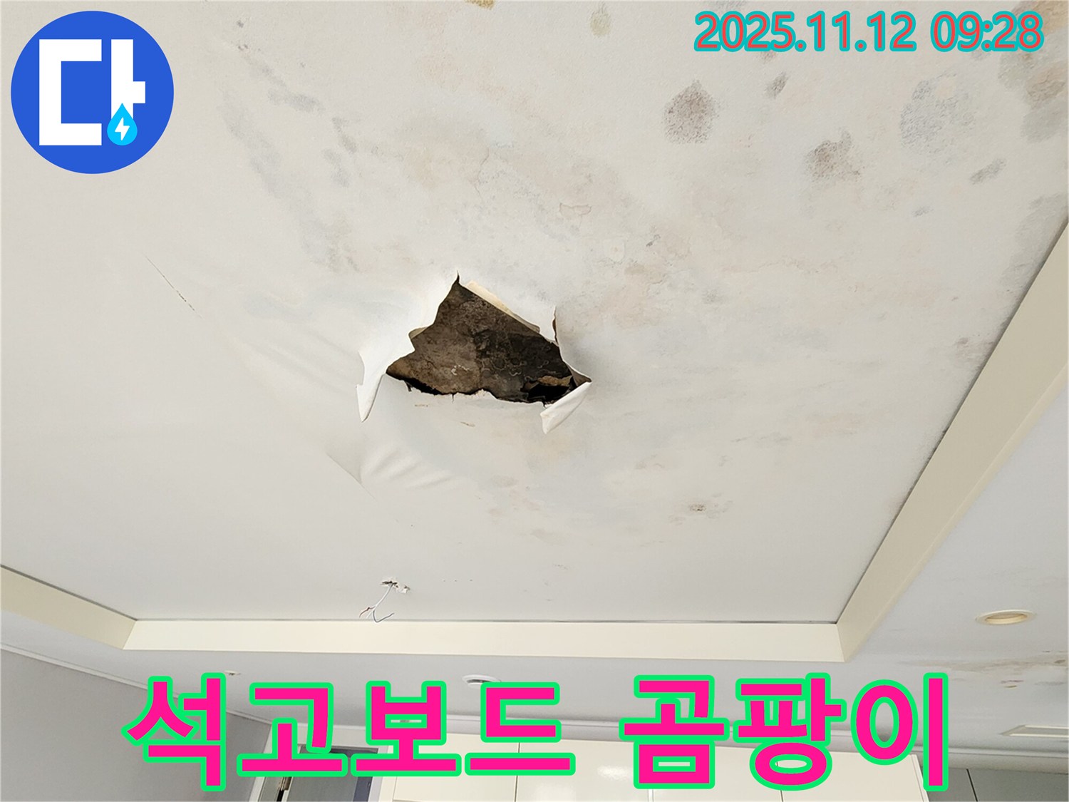 석고보드 곰팡이 - 석고보드 안쪽에 곰팡이가 심하게 번식하여 건강을 위협하는 모습입니다.