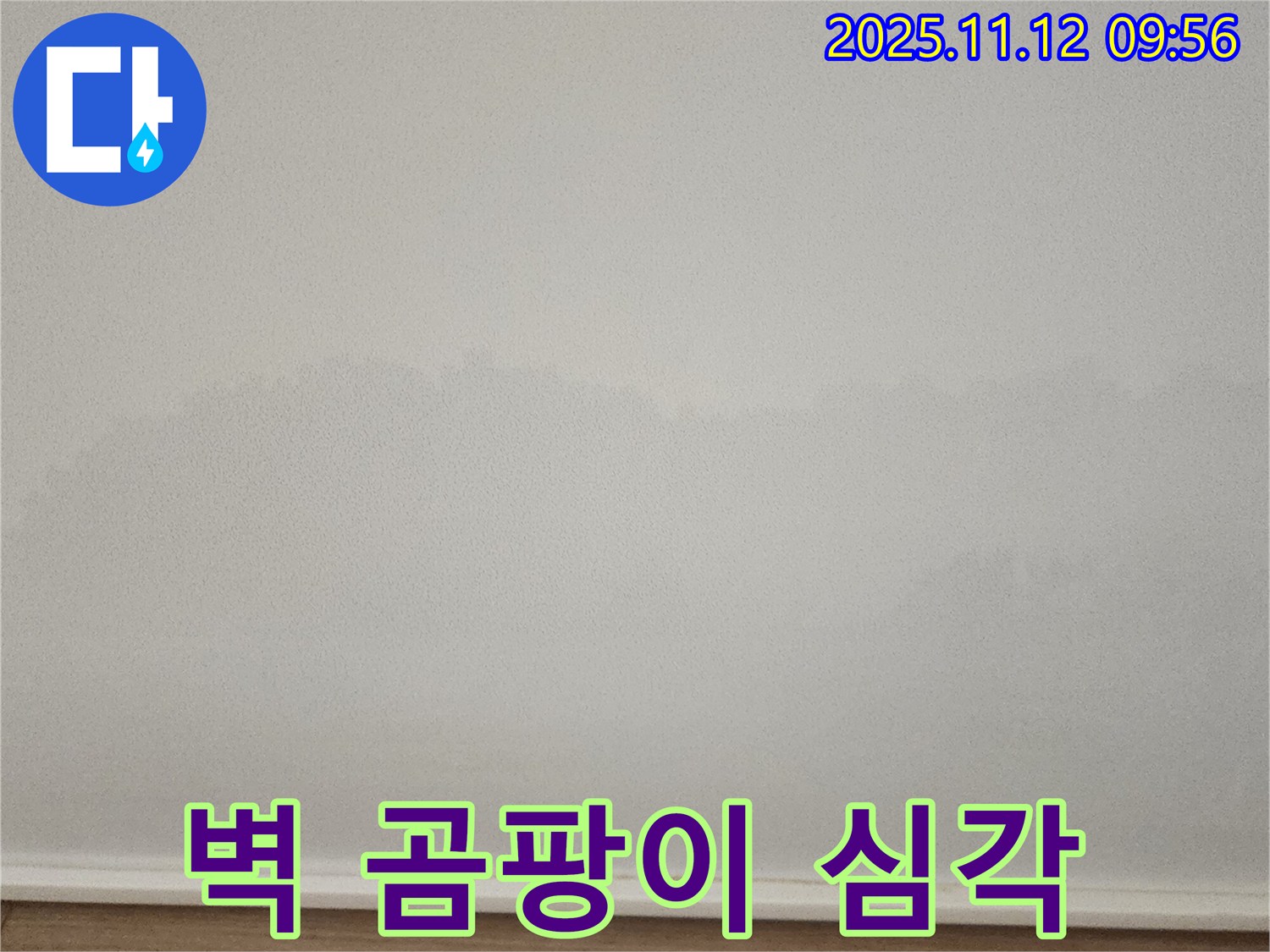 소흘읍 벽 곰팡이 - 심각한 곰팡이 - 누수 해결 및 곰팡이 완전 박멸