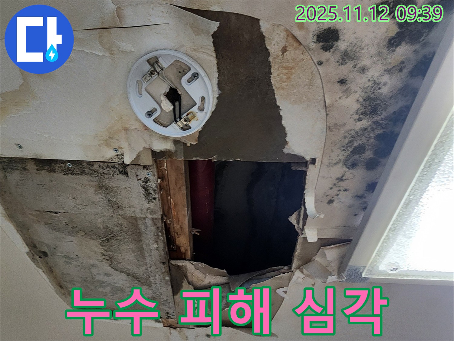 심각한 누수 피해 - 천장 손상, 곰팡이 발생, 전기 설비 위험 등 복합적인 문제 발생 가능성