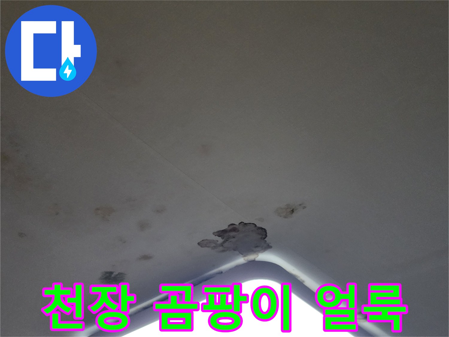 아파트 거실 천장 조명 주변에 발생한 곰팡이와 물얼룩 사진