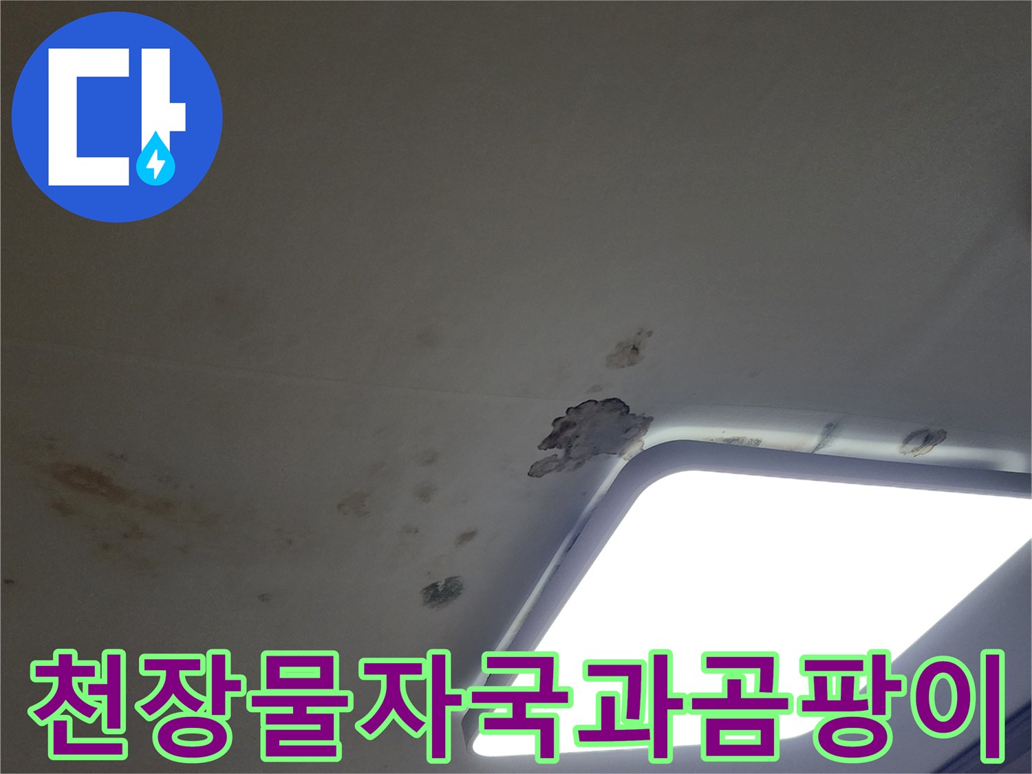 아파트 거실 천장의 누수 흔적 - 곰팡이와 물 얼룩 상태