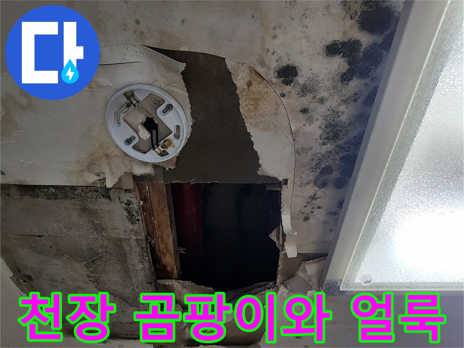 아파트 천장 내부의 검은 곰팡이와 물 얼룩 상태