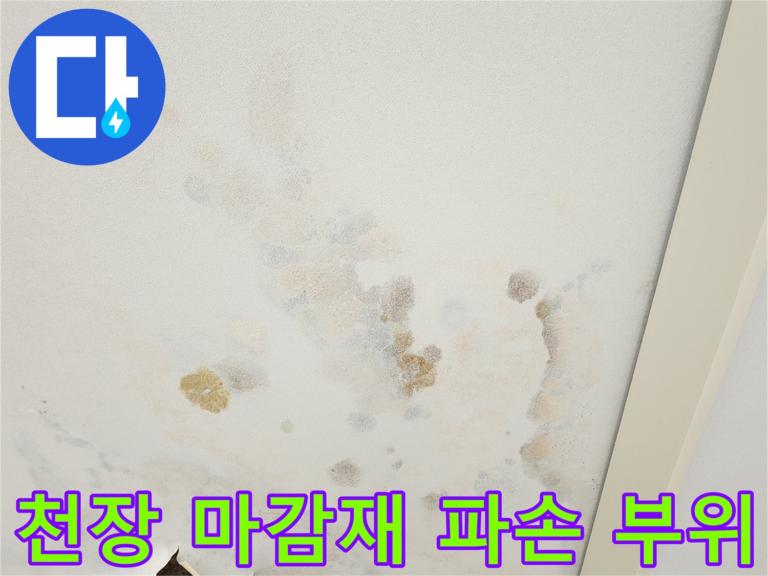 찢어지고 탈락된 천장 마감재와 그 주변의 누수 흔적