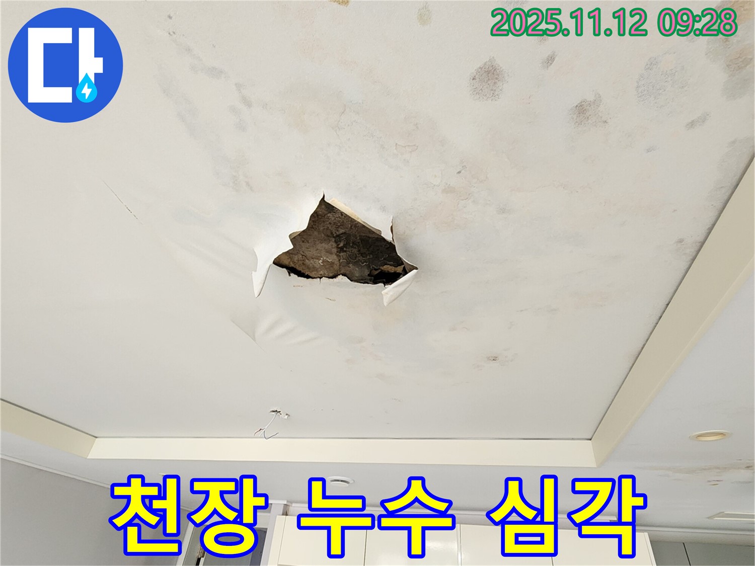 천장 누수 심각 - 석고보드 천장 전체가 젖어 곰팡이가 심하게 핀 끔찍한 누수 피해 사진입니다.