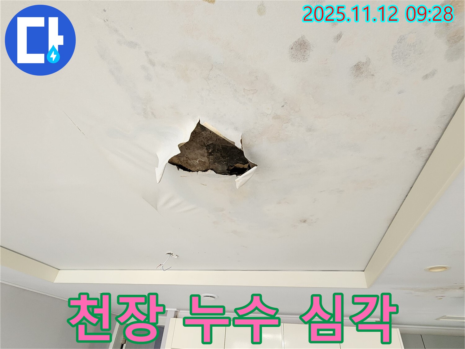 천장 누수 심각 - 천장 전체에 물이 스며들어 눅눅해진 상태를 보여주는 사진입니다.
