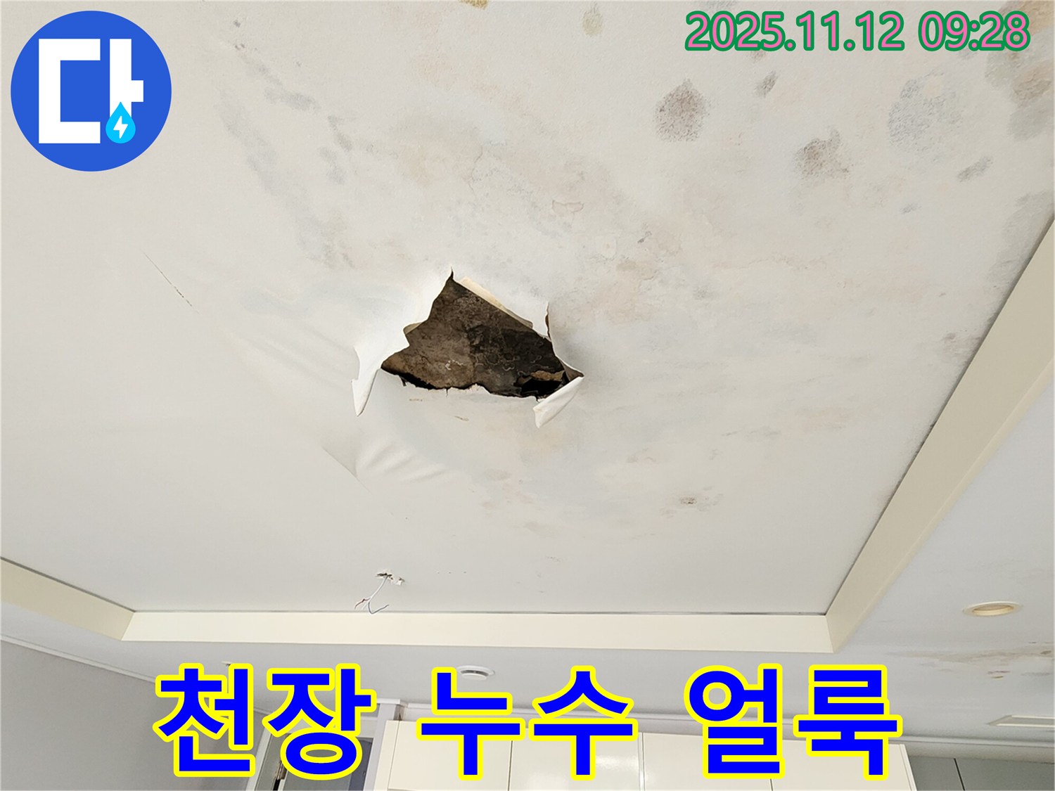 천장 누수 얼룩 - 찢어진 천장 주변에 물이 스며들어 생긴 곰팡이와 함께 얼룩덜룩한 누수 자국을 보여주는 사진입니다.