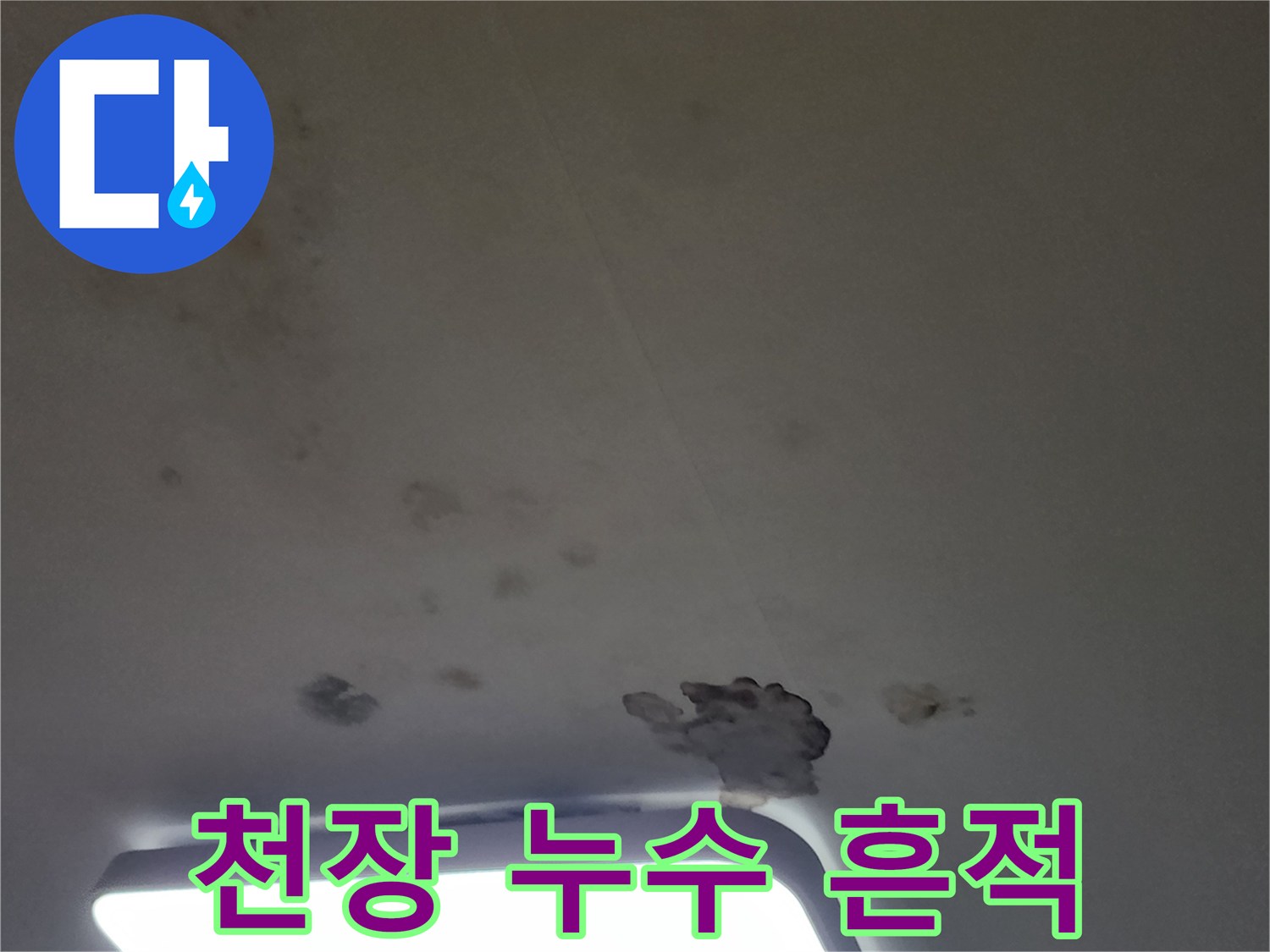 천장 마감재 곳곳에 나타난 곰팡이와 습기 자국