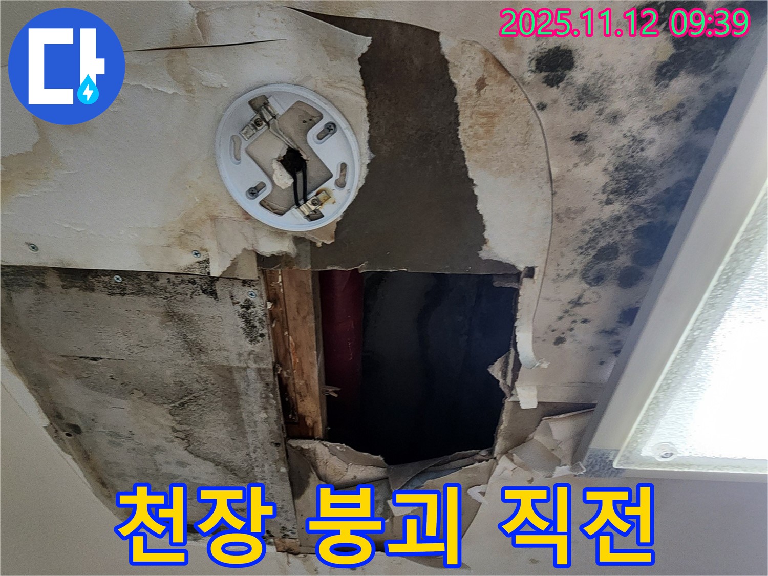 천장 붕괴 직전 - 심각한 누수와 곰팡이로 인한 천장 붕괴 직전의 위험한 상황