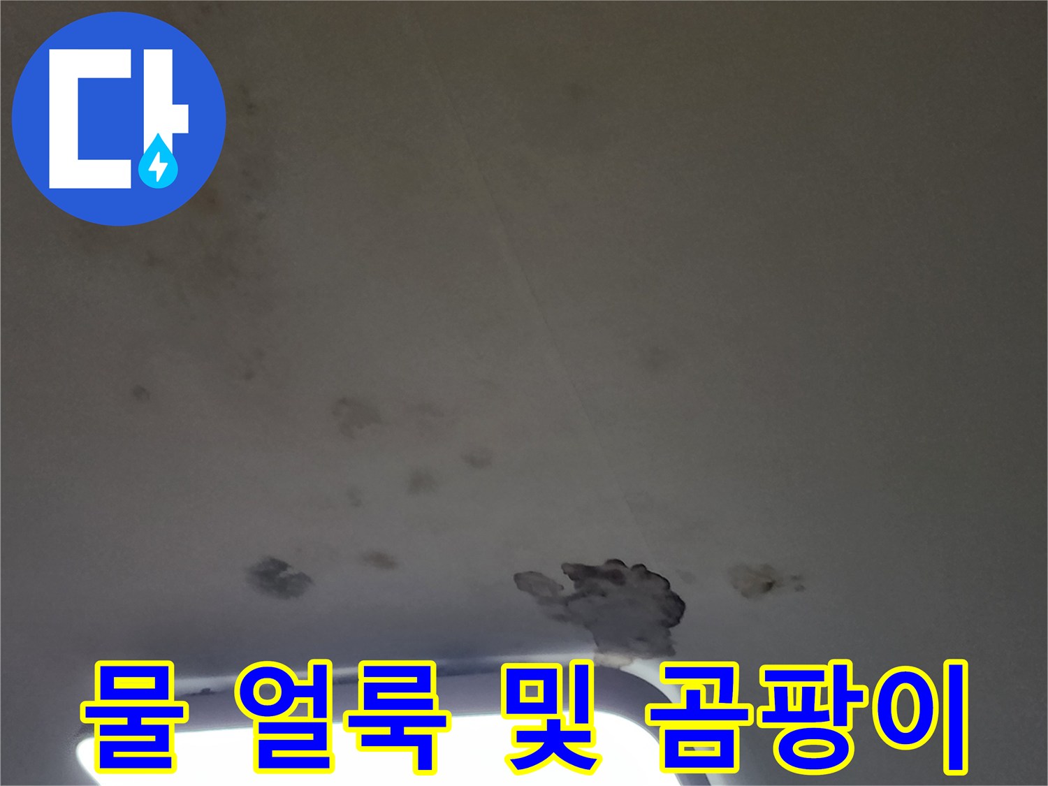 천장 조명 옆에 나타난 누수 흔적과 곰팡이 상태