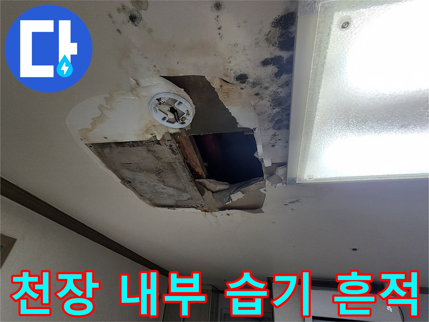 천장-조명-주변의-곰팡이와-심한-물-얼룩-상태
