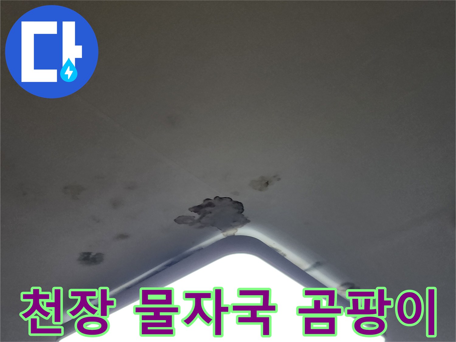 포천 무봉리 아파트 천장 LED 조명 주변의 곰팡이와 물 얼룩 상태