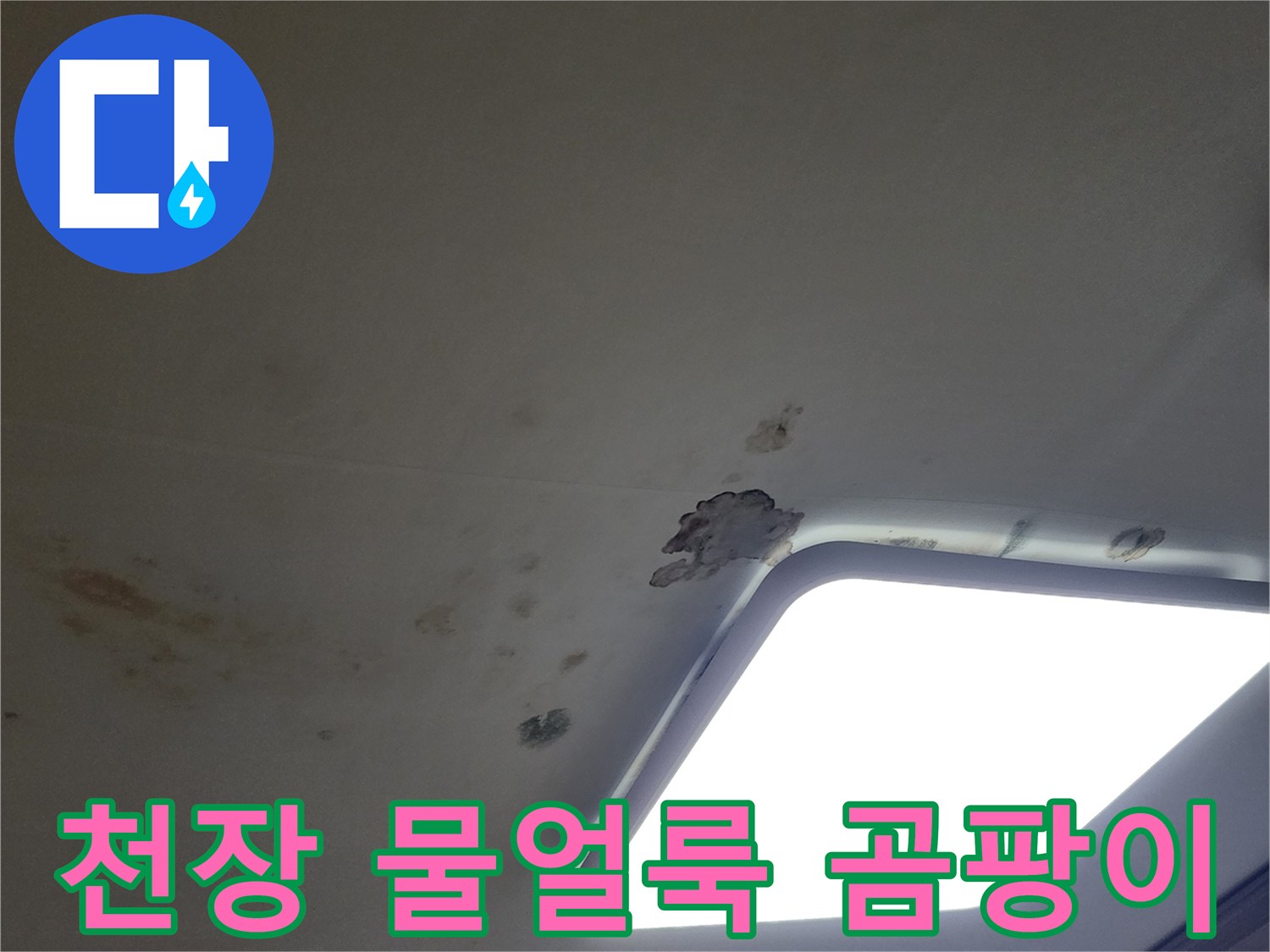 포천 무봉리 아파트 천장의 누수 흔적과 곰팡이 상태