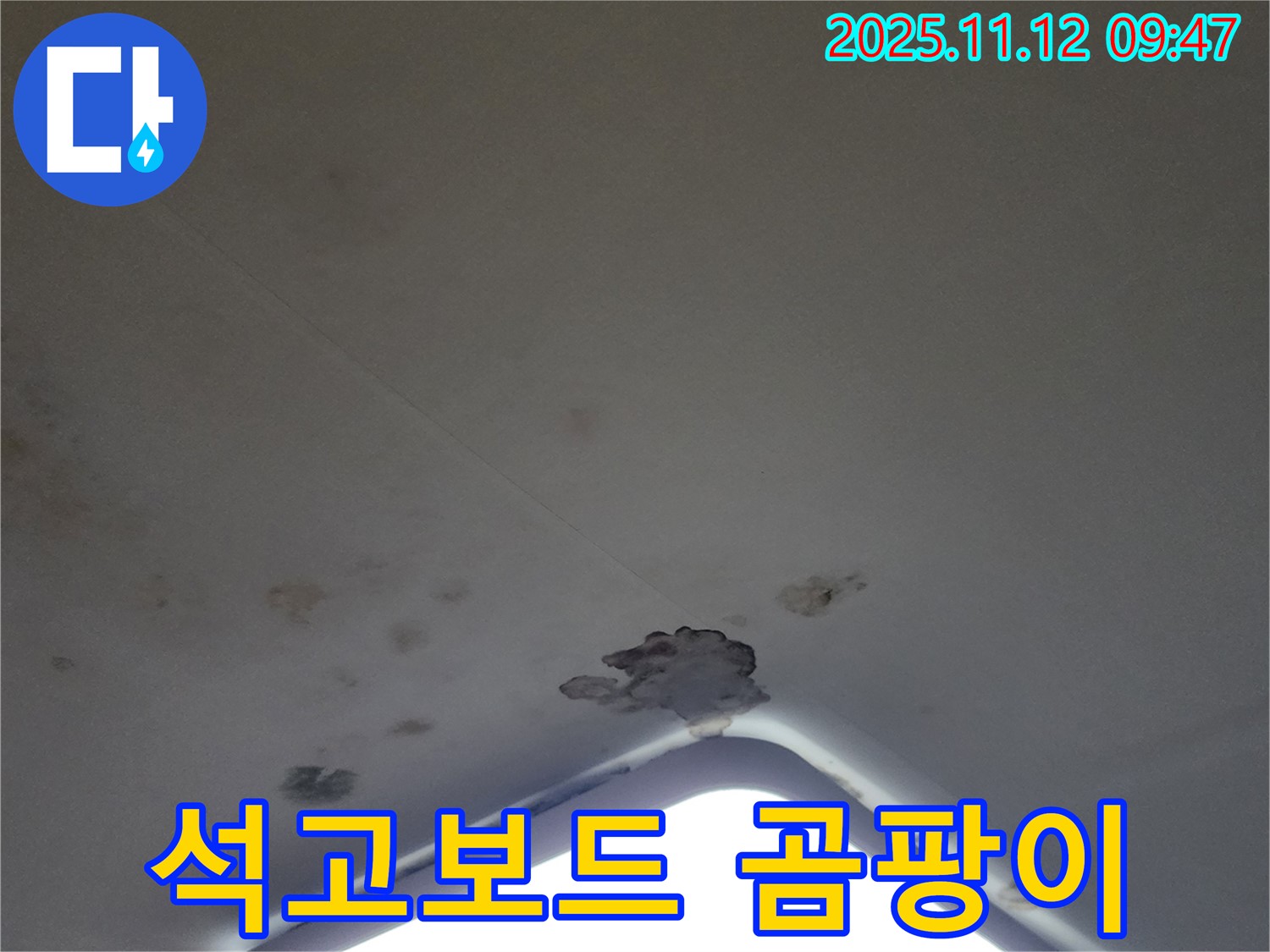 포천 소흘읍 - 천장 조명 누수, 석고보드 교체 및 곰팡이 제거