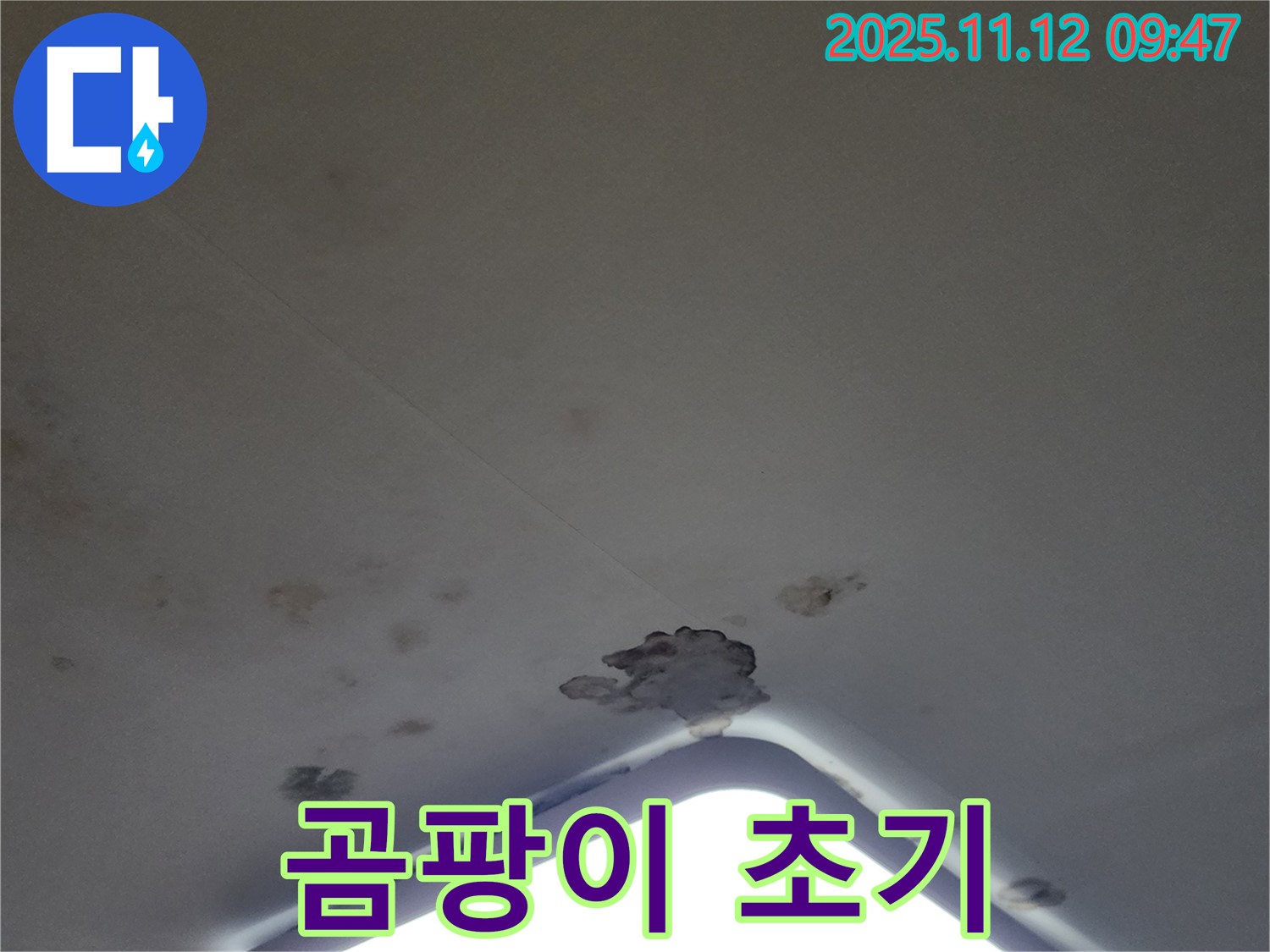 포천 소흘읍 - 천장 조명 주변 석고보드 젖음 - 곰팡이 초기