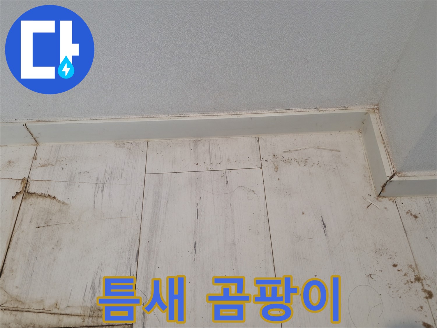 관악구 누수 - 마루 틈새 곰팡이 발견 - 누수 연관성 확인