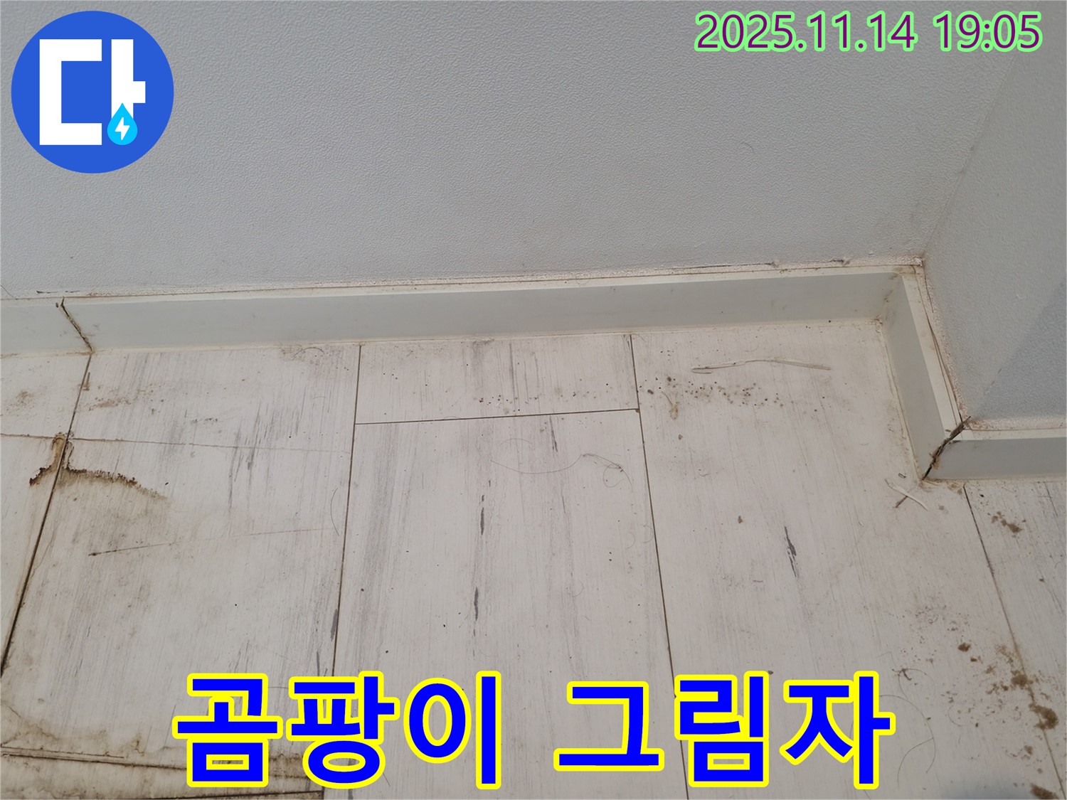 관악구 누수 - 젖은 장판, 곰팡이의 검은 그림자가 드리워져 있습니다.