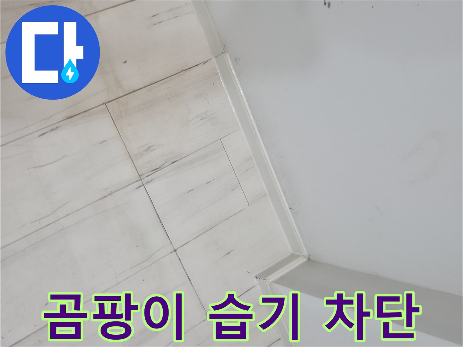 관악구 실리콘 곰팡이 - 습기 누수 차단 시공