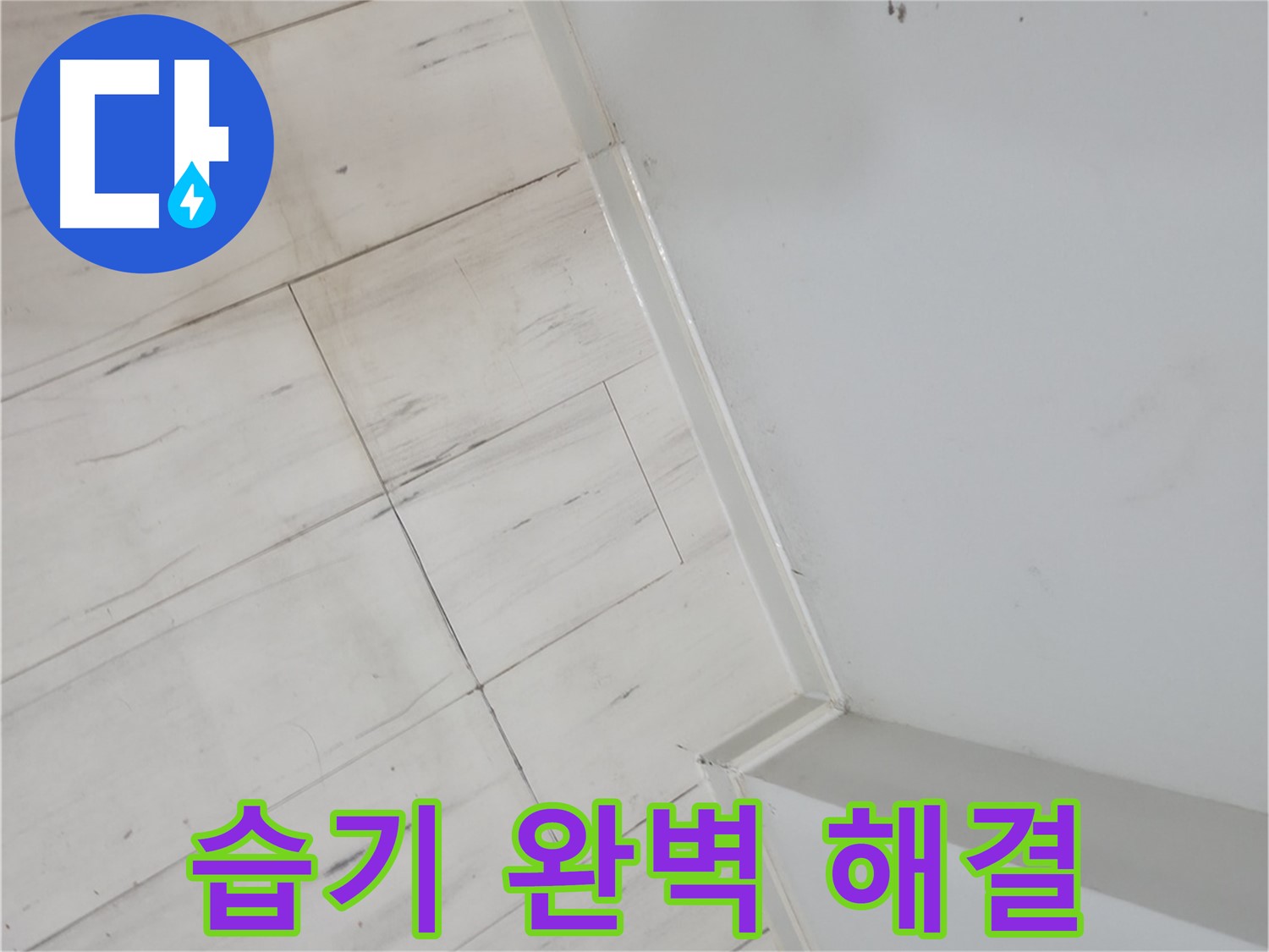 관악구 젖은 바닥 습기 누수 쾌적한 환경 조성