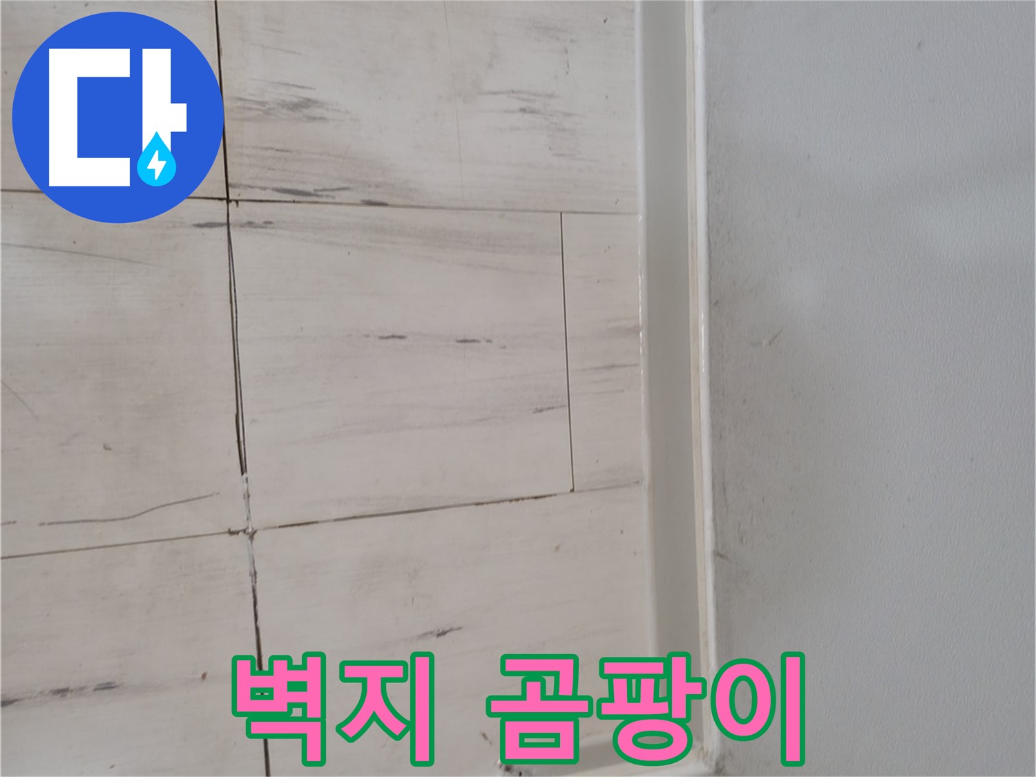 벽지 곰팡이 - 누수 초기 신호