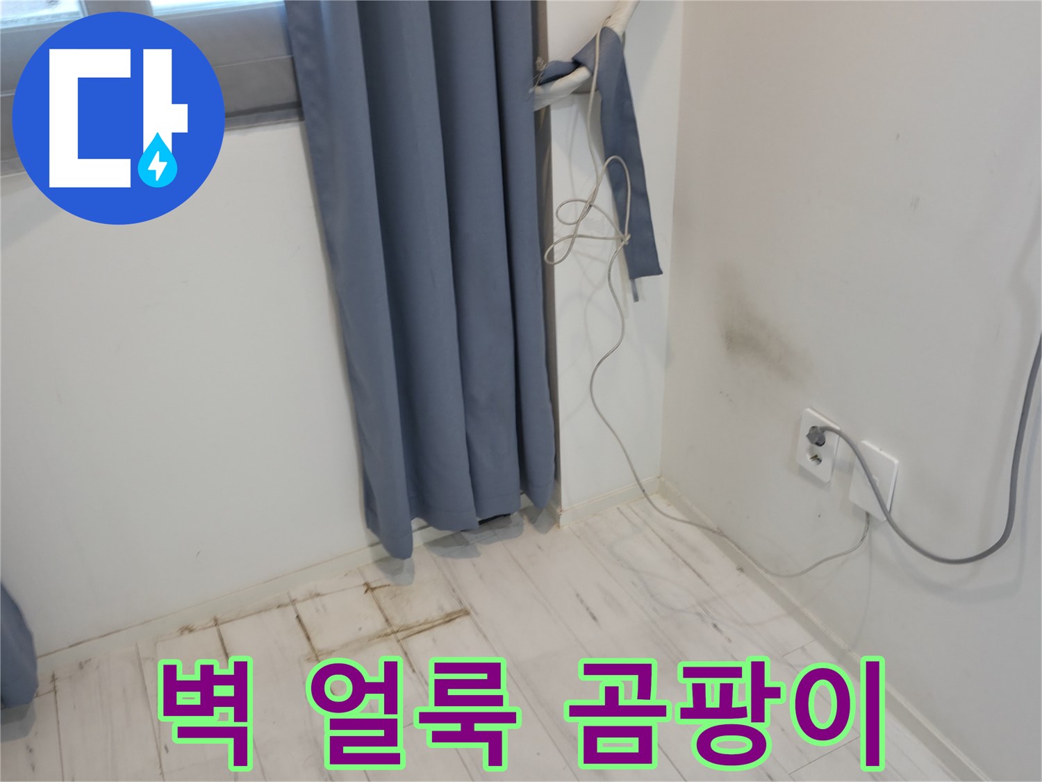 신림동 누수 - 벽 얼룩과 곰팡이 발견 - 누수 원인 파악 긴급 점검