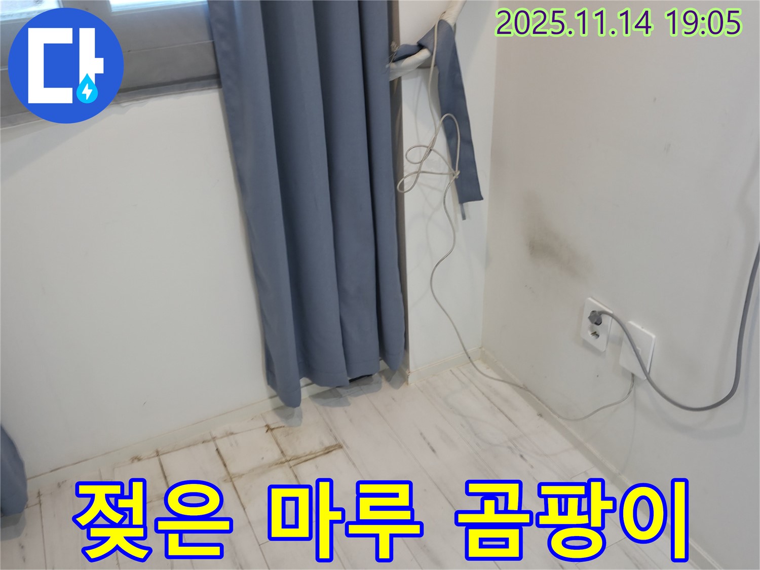 신림동 누수 - 젖은 마루와 곰팡이 냄새 - 누수 초기 진단