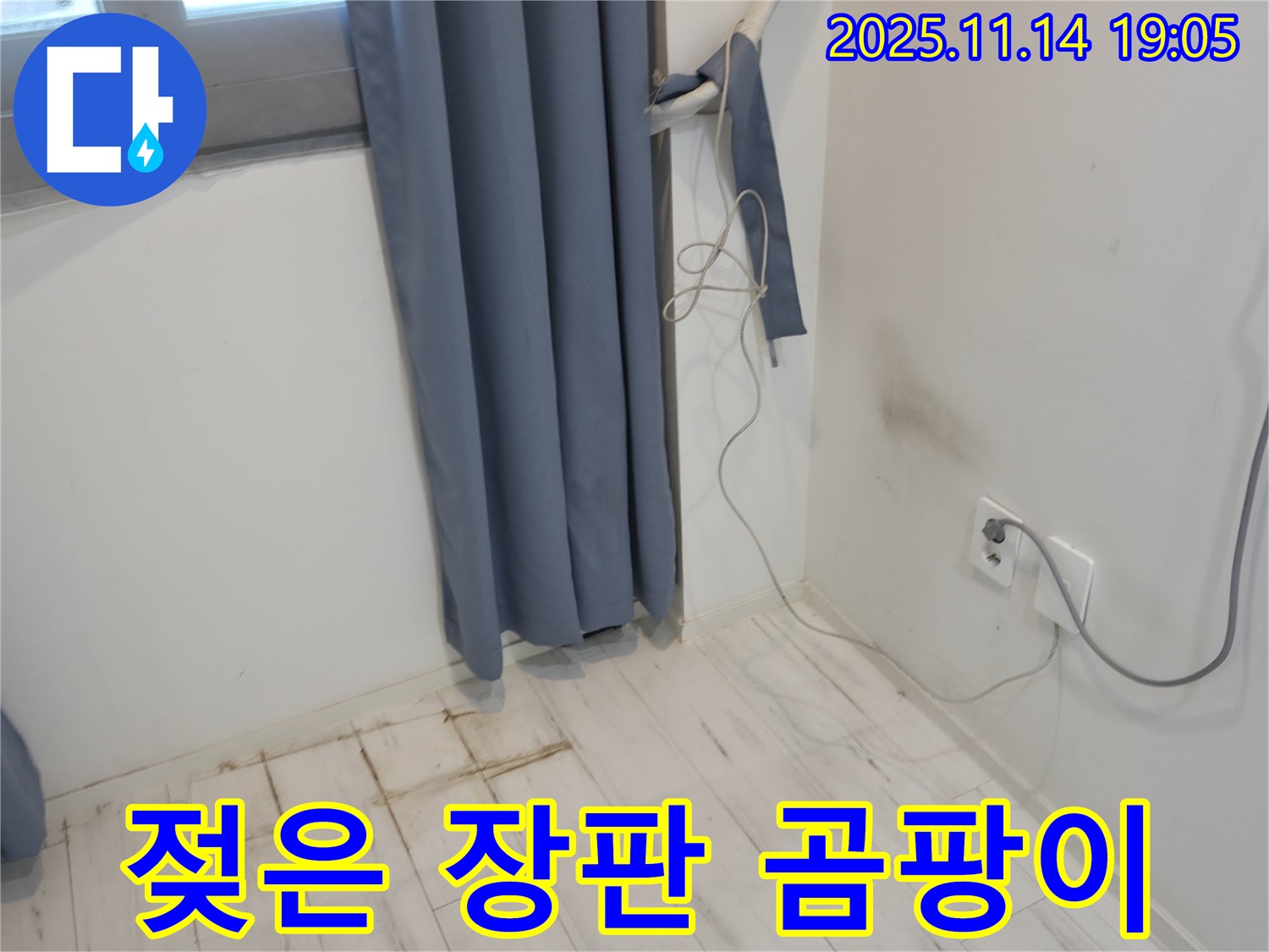 신림동 누수 - 젖은 장판과 벽 모서리 곰팡이 - 누수 초기 발견