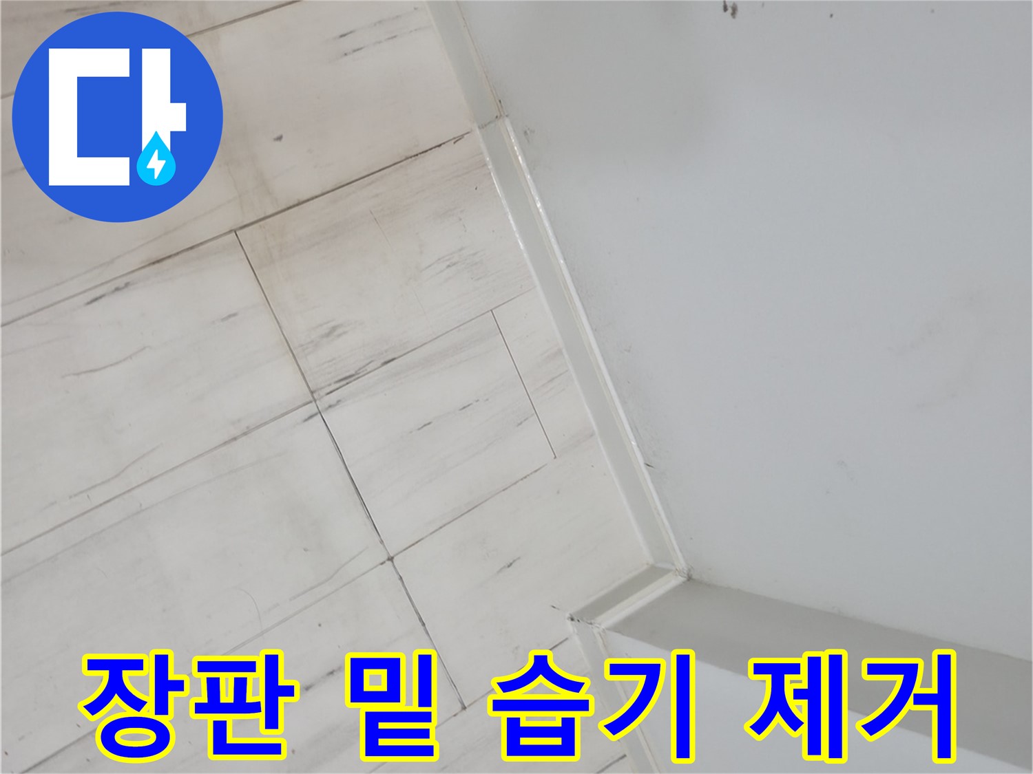 신림동 장판 밑 습기 누수 완벽 해결 사례