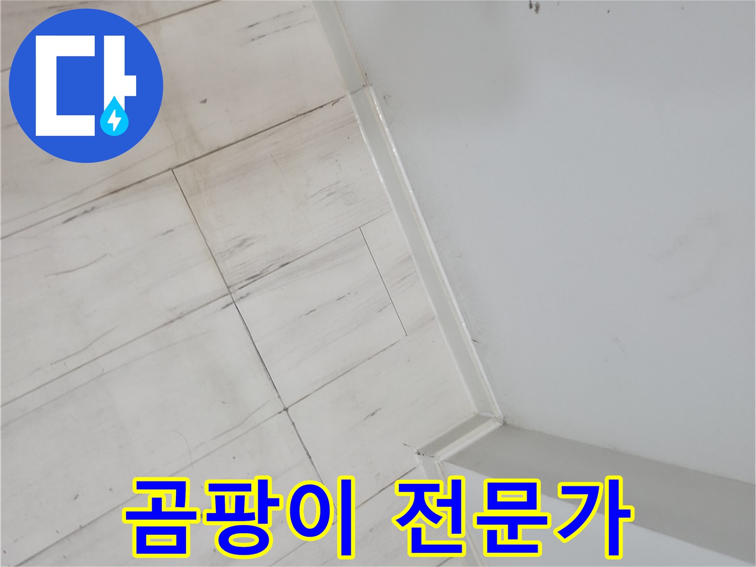 신림동 장판 틈새 곰팡이 누수 - 오랜 경험과 노하우의 전문가