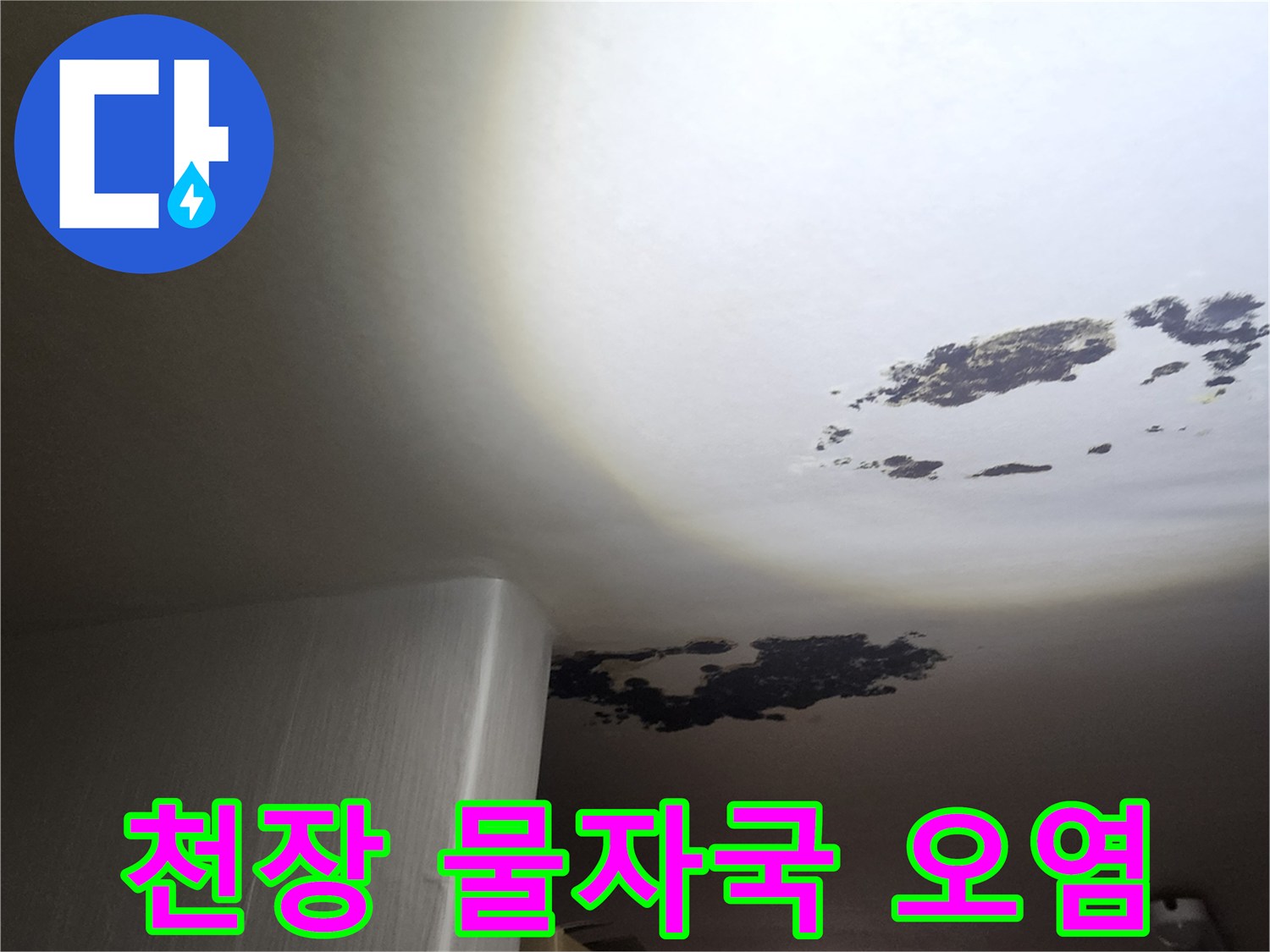 천장 도배지에 번져 있는 습기 및 물 얼룩 부위