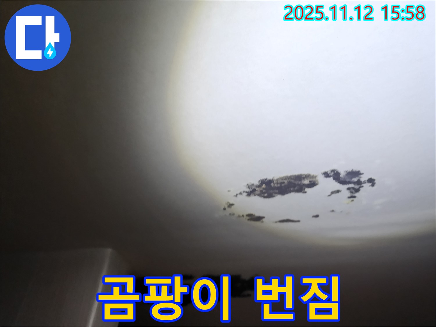 포천시 구읍리 - 곰팡이가 번지기 시작한 천장 누수 현장