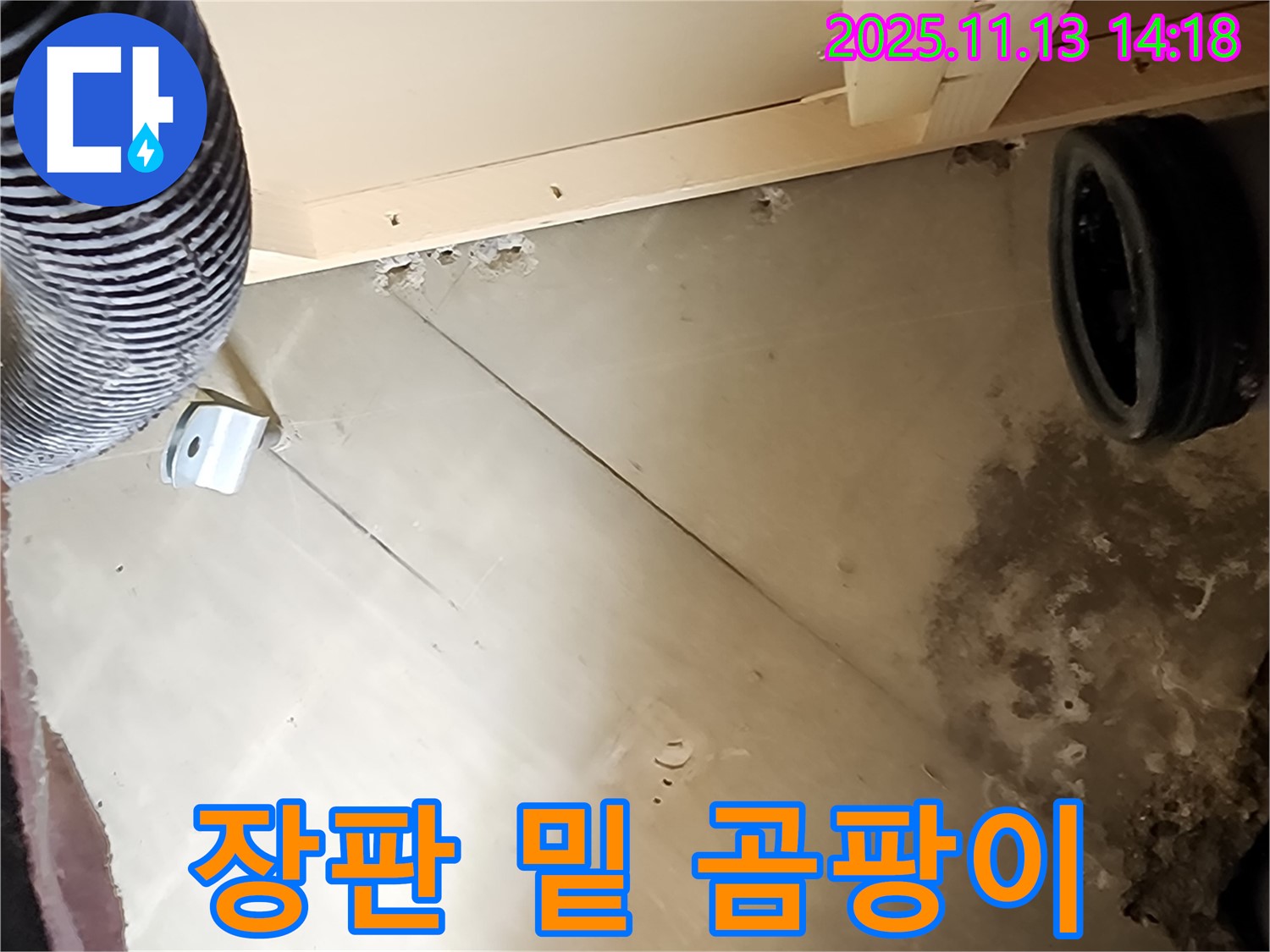 장판 밑 곰팡이 - 숨겨진 누수 증거일 수 있습니다!