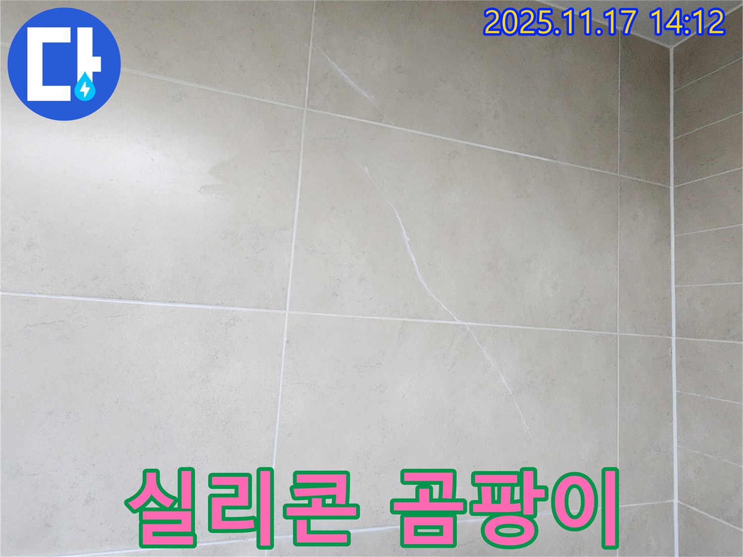 포천 군내면 하성북리 실리콘 곰팡이 - 뿌리처럼 박힌 곰팡이와 누수 가능성 진단