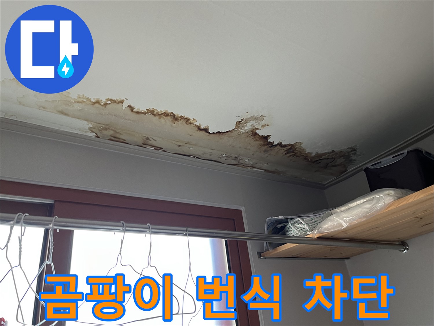 의정부 가능동 빌라 천장 누수 - 곰팡이 번식 차단을 위한 긴급 조치!